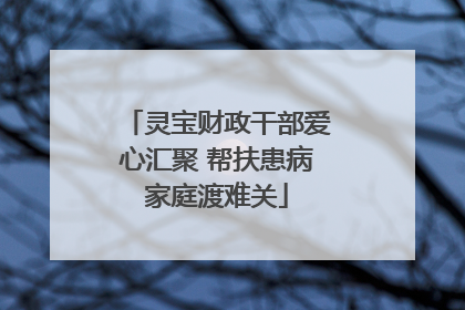 灵宝财政干部爱心汇聚 帮扶患病家庭渡难关