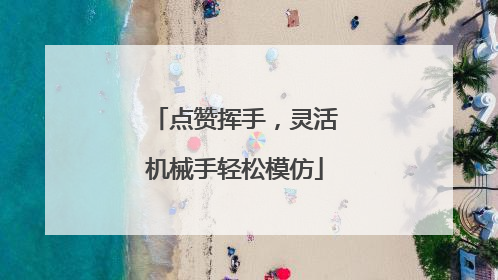 点赞挥手，灵活机械手轻松模仿
