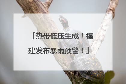 热带低压生成！福建发布暴雨预警！