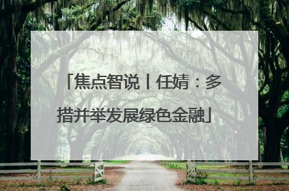 焦点智说丨任婧：多措并举发展绿色金融