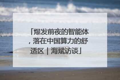 爆发前夜的智能体，落在中国算力的舒适区｜海斌访谈