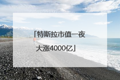 特斯拉市值一夜大涨4000亿