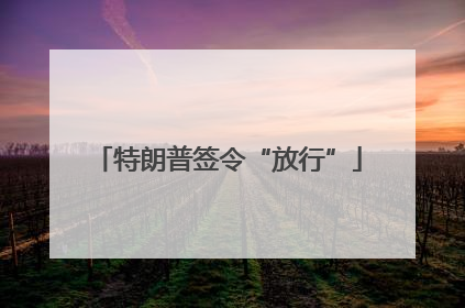 特朗普签令“放行”