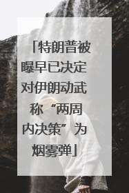 特朗普被曝早已决定对伊朗动武 称“两周内决策”为烟雾弹