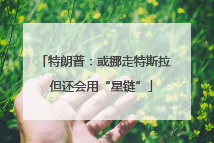 特朗普：或挪走特斯拉 但还会用“星链”