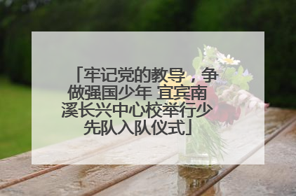 牢记党的教导，争做强国少年 宜宾南溪长兴中心校举行少先队入队仪式