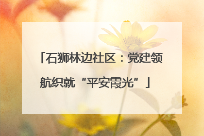 石狮林边社区：党建领航织就“平安霞光”