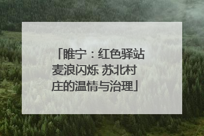 睢宁：红色驿站麦浪闪烁 苏北村庄的温情与治理