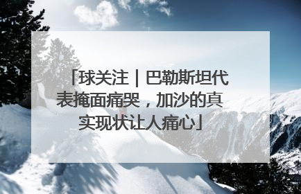 球关注｜巴勒斯坦代表掩面痛哭，加沙的真实现状让人痛心