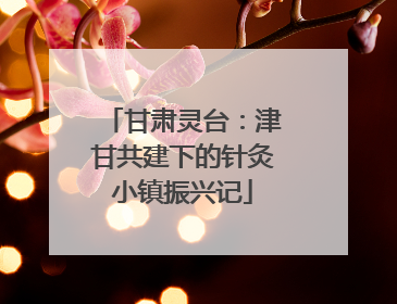 甘肃灵台：津甘共建下的针灸小镇振兴记