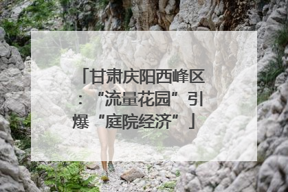 甘肃庆阳西峰区：“流量花园”引爆“庭院经济”