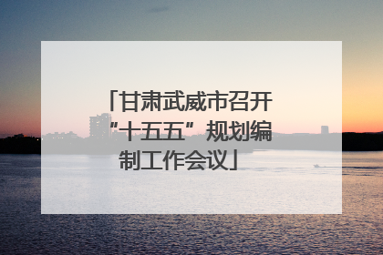 甘肃武威市召开“十五五”规划编制工作会议