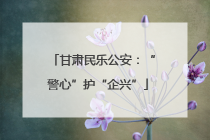 甘肃民乐公安：“警心”护“企兴”