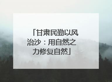 甘肃民勤以风治沙：用自然之力修复自然