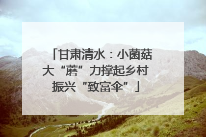 甘肃清水：小菌菇大“蘑”力撑起乡村振兴“致富伞”