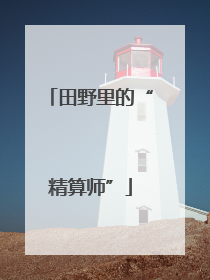 田野里的“精算师”