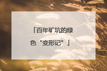 百年矿坑的绿色“变形记”