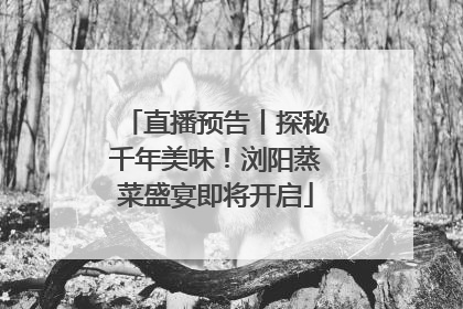 直播预告丨探秘千年美味！浏阳蒸菜盛宴即将开启