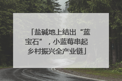 盐碱地上结出“蓝宝石”，小蓝莓串起乡村振兴全产业链