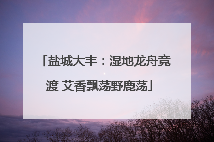 盐城大丰：湿地龙舟竞渡 艾香飘荡野鹿荡