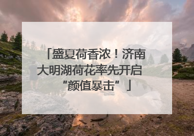 盛夏荷香浓！济南大明湖荷花率先开启“颜值暴击”