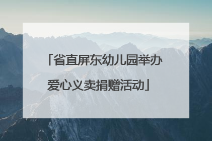 省直屏东幼儿园举办爱心义卖捐赠活动