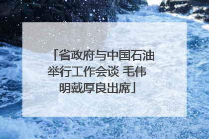 省政府与中国石油举行工作会谈 毛伟明戴厚良出席
