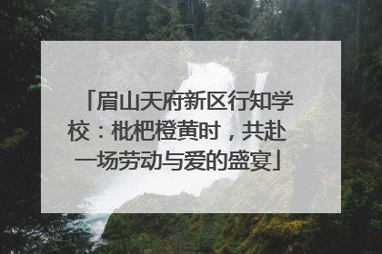 眉山天府新区行知学校：枇杷橙黄时，共赴一场劳动与爱的盛宴