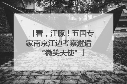 看，江豚！五国专家南京江边考察邂逅“微笑天使”