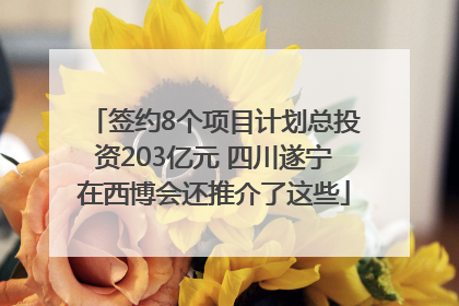 签约8个项目计划总投资203亿元 四川遂宁在西博会还推介了这些