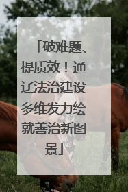 破难题、提质效！通辽法治建设多维发力绘就善治新图景