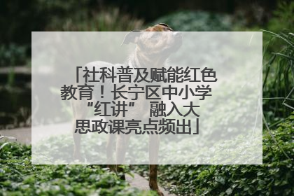 社科普及赋能红色教育！长宁区中小学 “红讲” 融入大思政课亮点频出