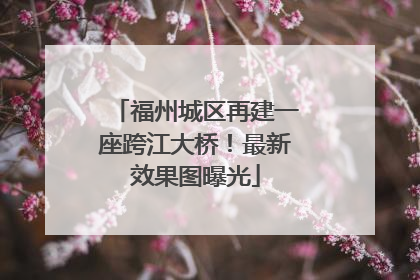 福州城区再建一座跨江大桥！最新效果图曝光
