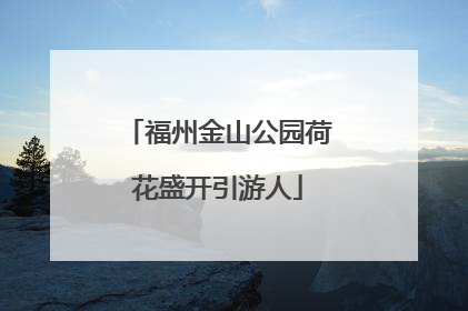 福州金山公园荷花盛开引游人