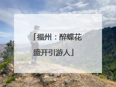 福州：醉蝶花盛开引游人