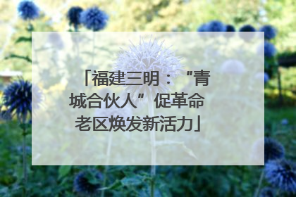 福建三明：“青城合伙人”促革命老区焕发新活力