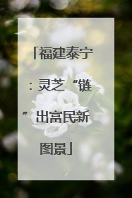 福建泰宁：灵芝“链”出富民新图景
