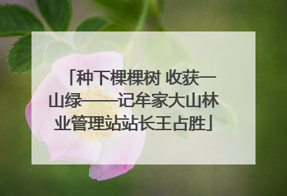 种下棵棵树 收获一山绿——记牟家大山林业管理站站长王占胜