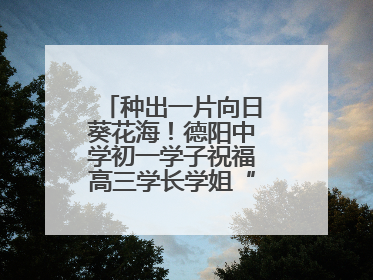 种出一片向日葵花海！德阳中学初一学子祝福高三学长学姐“一举夺魁”