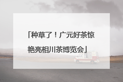 种草了！广元好茶惊艳亮相川茶博览会