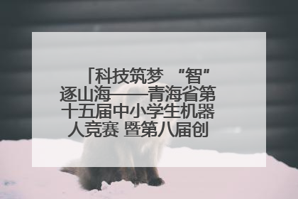 科技筑梦 “智”逐山海——青海省第十五届中小学生机器人竞赛 暨第八届创新设计大赛见闻