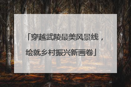 穿越武陵最美风景线，绘就乡村振兴新画卷
