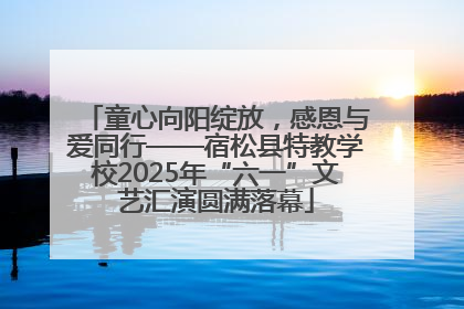 童心向阳绽放，感恩与爱同行——宿松县特教学校2025年“六一”文艺汇演圆满落幕