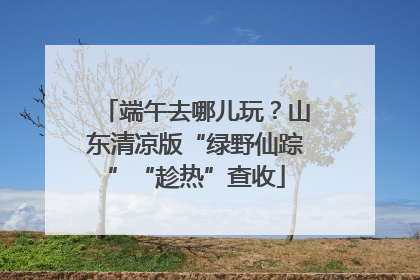 端午去哪儿玩？山东清凉版“绿野仙踪”“趁热”查收