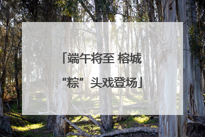 端午将至 榕城“粽”头戏登场