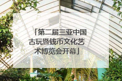 第二届三亚中国古玩暨钱币文化艺术博览会开幕