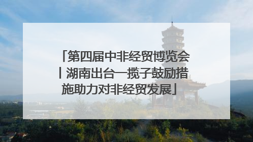 第四届中非经贸博览会丨湖南出台一揽子鼓励措施助力对非经贸发展