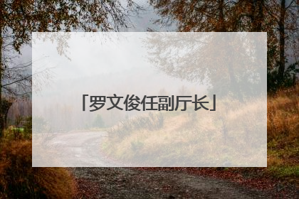 罗文俊任副厅长