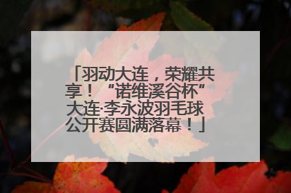 羽动大连，荣耀共享！“诺维溪谷杯”大连·李永波羽毛球公开赛圆满落幕！