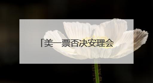 美一票否决安理会加沙决议草案 古特雷斯：感到失望